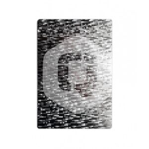 Lamina trasera de personalizacion qcharx plata relieve